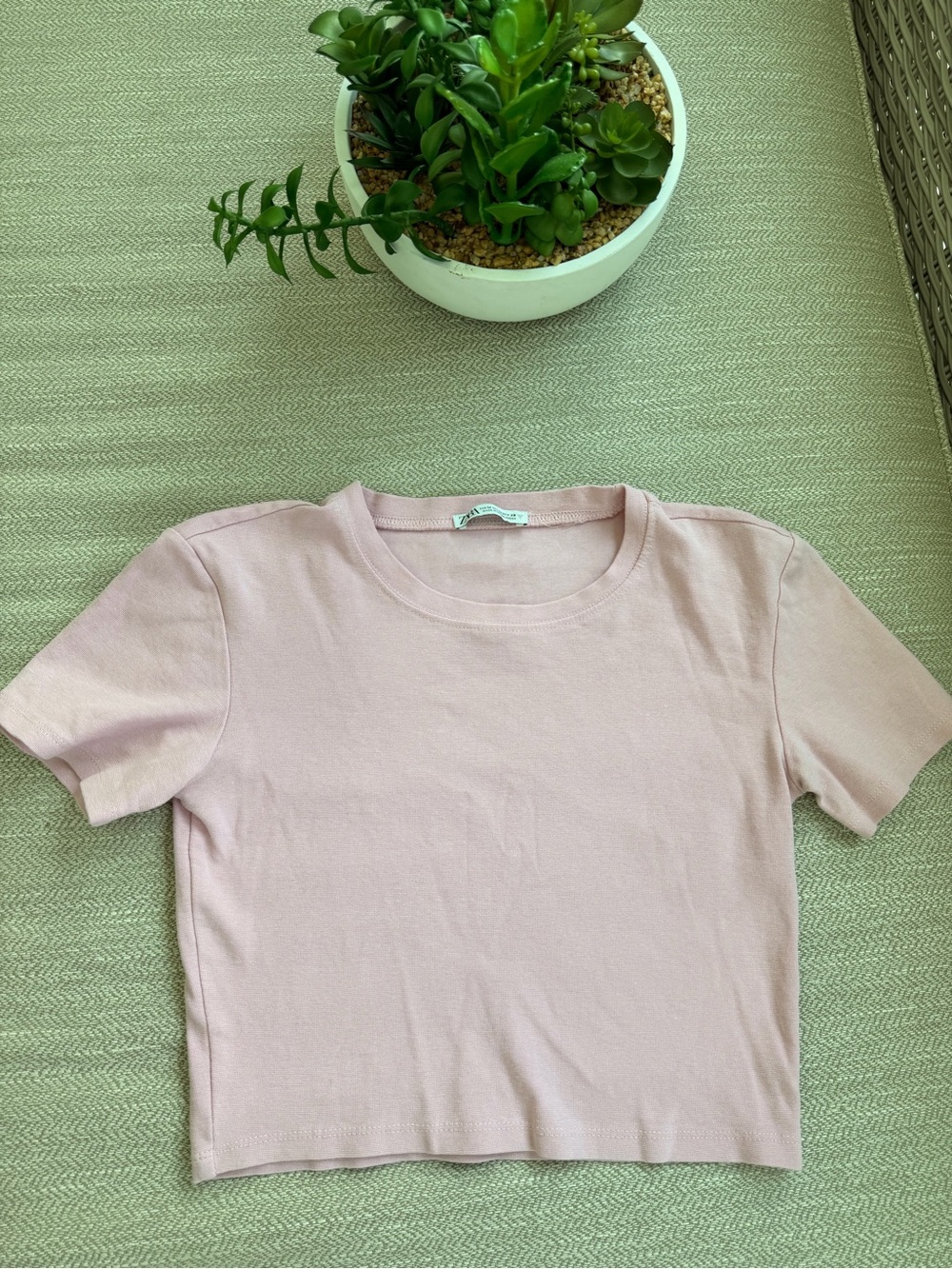 Zara Pale Pink Cropped Crewneck Tee